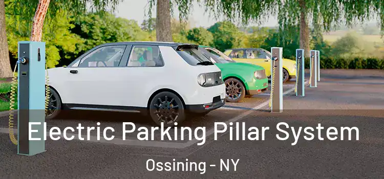 Electric Parking Pillar System Ossining - NY