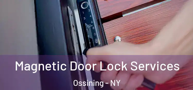  Magnetic Door Lock Services Ossining - NY