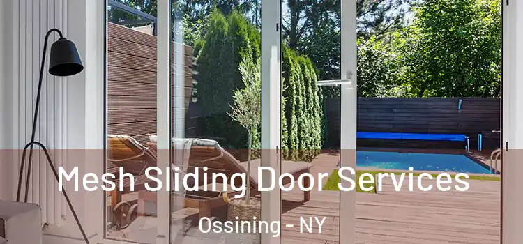  Mesh Sliding Door Services Ossining - NY